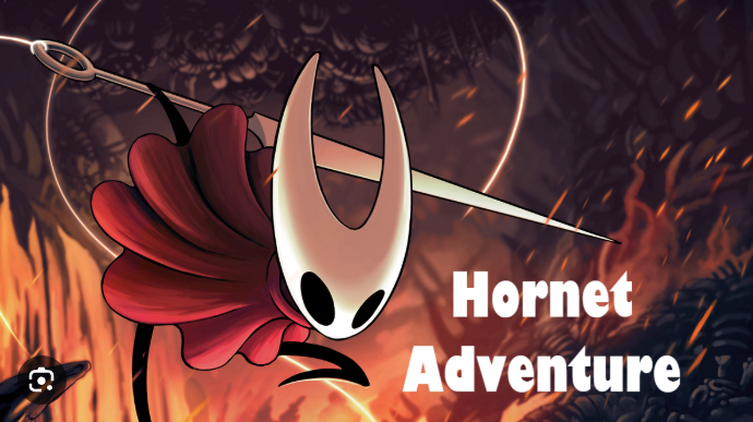 Hornet Adventure